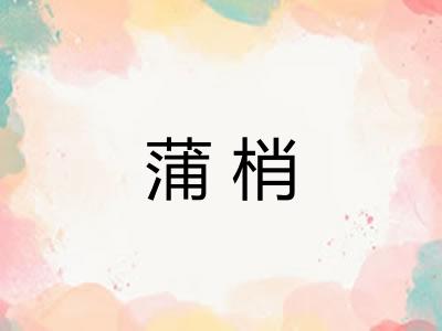 蒲梢 蒲梢