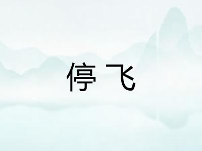 停飞 停飞