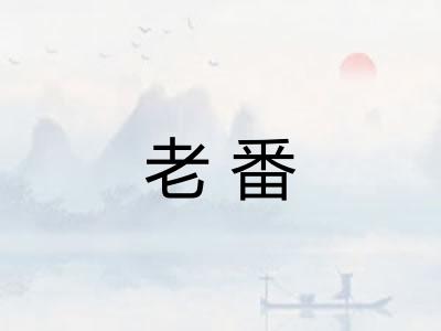 老番