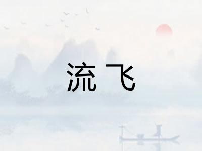 流飞