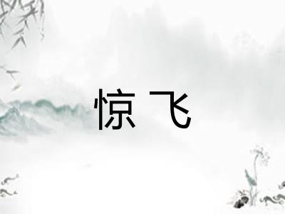 惊飞
