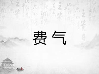 费气