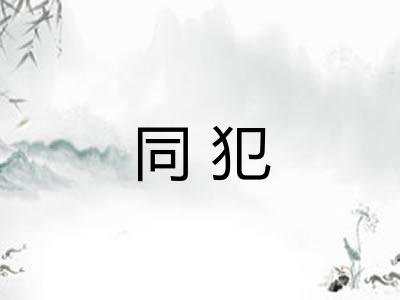 同犯