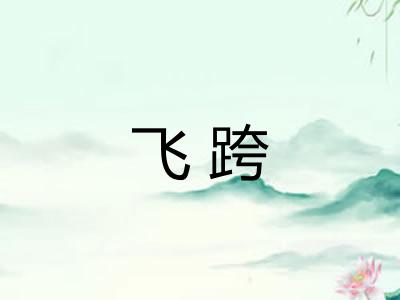 飞跨