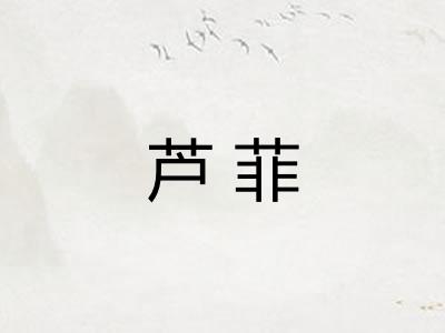 芦菲