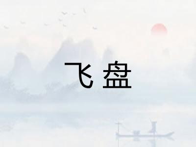 飞盘 飞盘