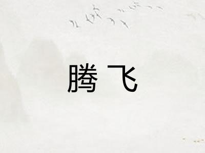 腾飞
