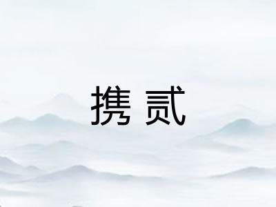 携贰 携贰