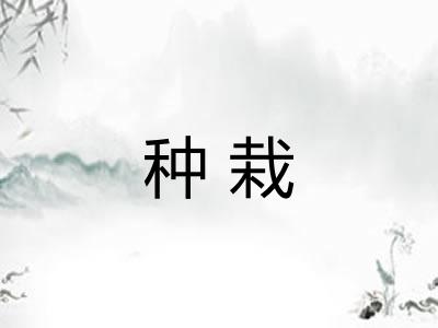 种栽