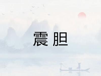 震胆 震胆
