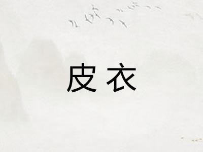皮衣