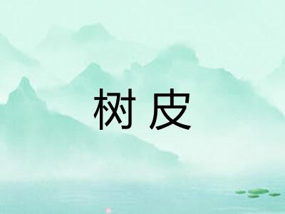 树皮