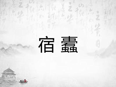 宿蠹