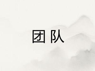 团队