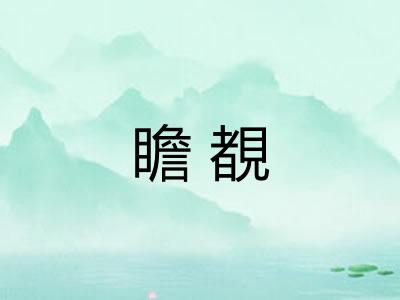 瞻覩