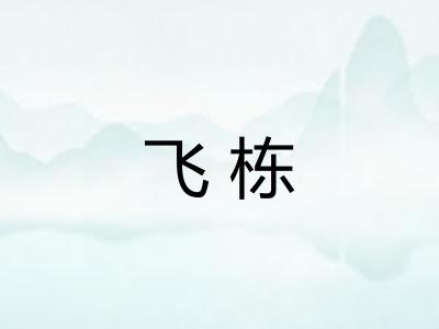 飞栋 飞栋