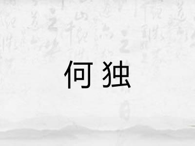 何独