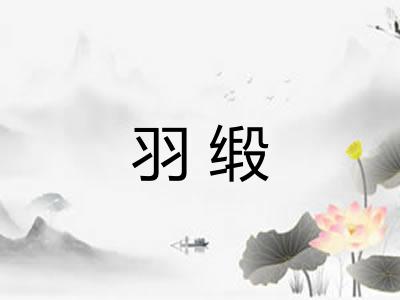 羽缎