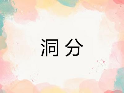 洞分