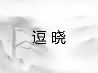 逗晓