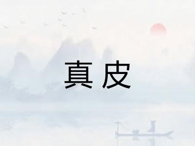 真皮