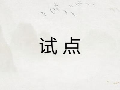 试点
