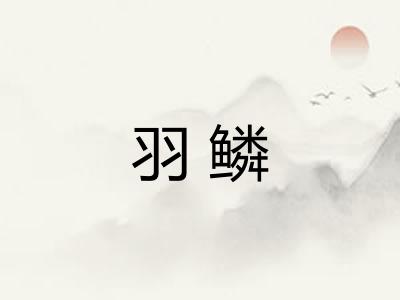 羽鳞