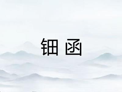 钿函