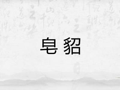 皂貂
