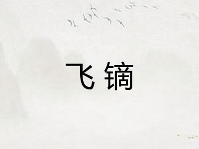 飞镝