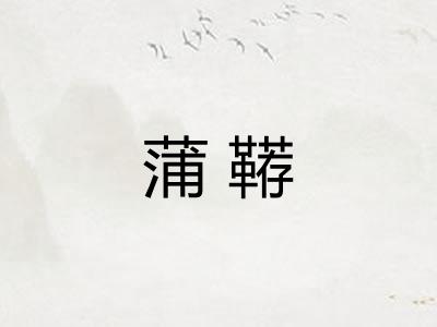 蒲鞯
