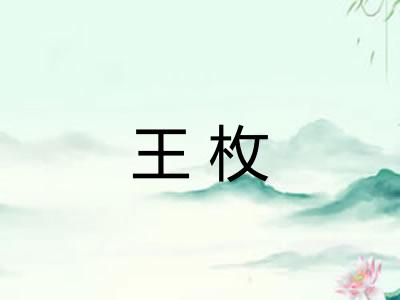 王枚
