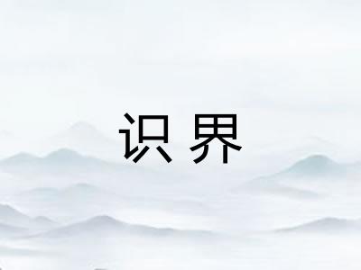 识界