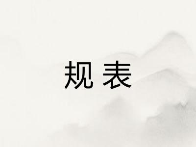 规表