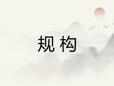 规构