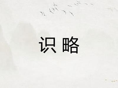 识略