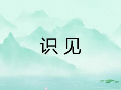 识见