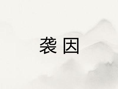 袭因 袭因