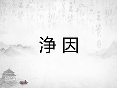 浄因