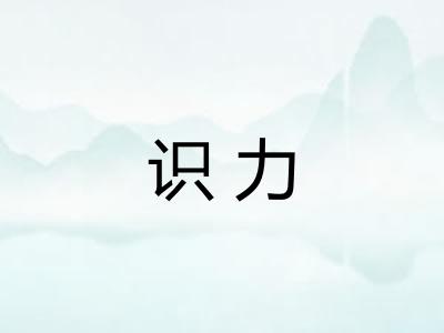 识力
