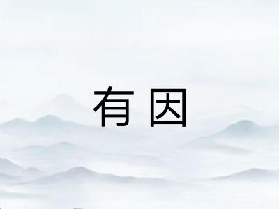 有因