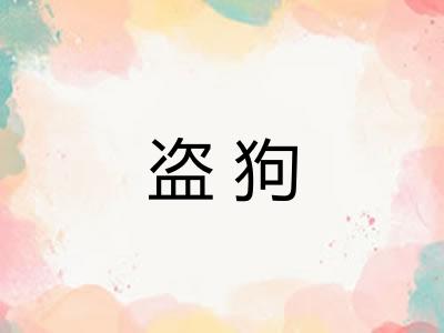 盗狗