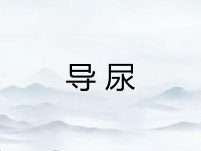 导尿