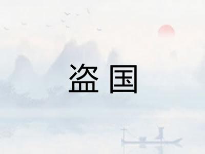 盗国