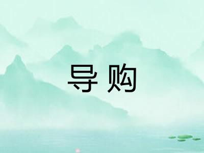 导购