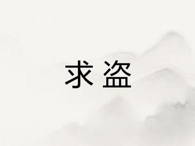 求盗