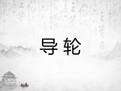 导轮