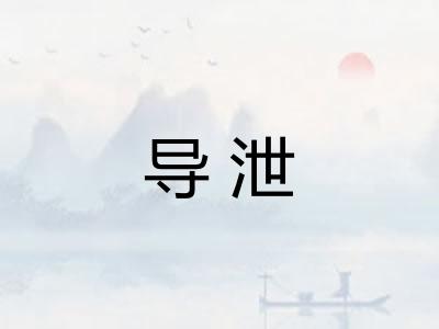 导泄