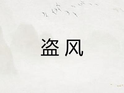 盗风