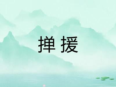掸援